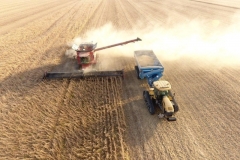 DJI_0051