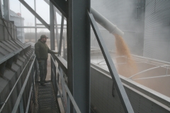 Jeff is loading waxy corn to be delivered to Ingredion in Indianapolis.