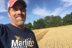 My favorite crop to harvest!  Blue skies, golden wheat, beautiful!
