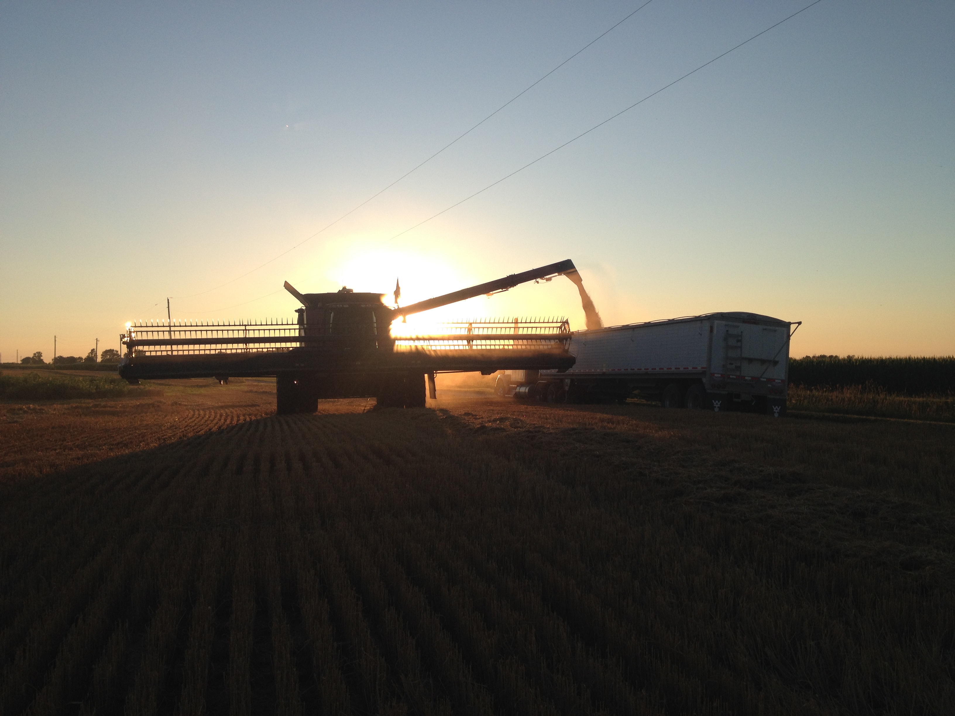 wheat-combine-sunset2